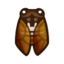 Brown Cicada