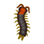 Centipede