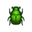 Drone Beetle