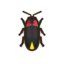 Firefly