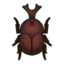 Horned Dynastid