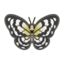 Common Butterfly