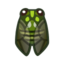 Robust Cicada