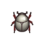 Scarab Beetle