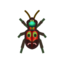 Tiger Beetle