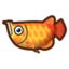 Arowana