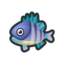 Bluegill