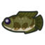 Giant Snakehead