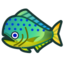 Mahi-Mahi