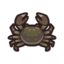 Mitten Crab