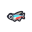 Neon Tetra