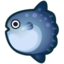 Ocean Sunfish