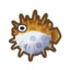 Puffer Fish