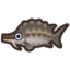 Sturgeon