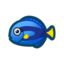 Surgeonfish