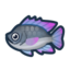 Tilapia