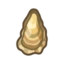 Oyster