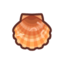 Scallop