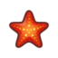 Sea Star